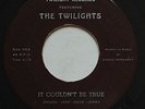 HEAR Bay Area Garage Psych Surf THE TWILIGHTS It Couldn't Be True TWILIGHT 45