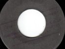 GLEN ADAMS - SHE'S SO FINE - ISLAND UK BLANK