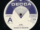THE DUKE OF BURLINGTON 'flash' 12