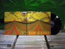 Savoy Brown ?– Raw Sienna ' LP MINT SPAIN PRESS 1970 GATEFOLD  SKL 5043