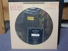 David Bowie Ziggy Stardust Picture Disc