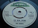THE CHANTS - I'VE BEEN TRYING RARE CHIPPING NORTON CROSSOVER SOUL 45 SUPERB NM