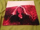 Ty Segall 