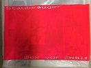 Staubsauger - Sex vor Zwölf ( German Wave Do-LP)