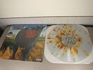 SEALED Blink 182 Dude Ranch 12