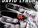 Crazy Clown Time - 2 DISC SET - David Lynch (2011, Vinyl NEW)