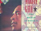 MARVIN GAYE - LONELY LOVER - THE WORLD IS RATED X