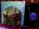 ORIG 1968  #1 CREEDENCE CLEARWATER    SUZY Q   GRITTY HARD SWAMP BLUES
