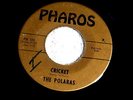POLARAS CRICKET BREAKER A KILLER TWO SIDER MAD MIKE SOUND  INSTRUMENTAL 45