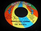 MALIBUS - GEE BABY I LOVE YOU - SURE SHOT