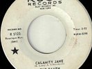 The Raven Calmity Jane Rust Psych Mod Fuzz Garage Hear