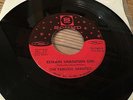 THE FABULOUS SHANTELS remain unknown girl US FUZZ GARAGE fabulous chantels 45