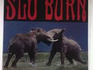 Slo Burn ?– Amusing The Amazing -- Kyuss -- UNIDA --