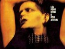Lou Reed Rock N Roll Animal NEAR MINT RCA Victor Vinyl LP
