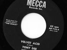 Tony Dee  Velvet Acid     Killer Fuzz Garage Psych   Listen