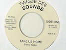 Reggae 45   Danny Tucker   Take Us Home   Twigze Dee   mp3 rare roots