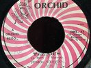 Junior Murvin - Tedious / Upsetters - Tedious Dub JA Orchid 7