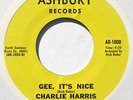 Rare Bay Area Sweet Soul: CHARLIE HARRIS Gee It’s Nice on Ashbury (Hear) M-