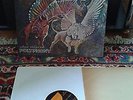 POLYPHONY LP  WITHOUT INTRODUCTION USA HARD PROG