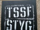 Stick to your guns story so far split ep vinyl