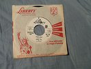Bobby Vee & The Shadows - Suzie Baby / Flyin High - LIBERTY # 55208 promo