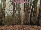 TWINK - Think Pink 180g Pink Vinyl LP + CD including 8 bonus tracks New + sealed