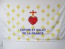 DRAPEAU FLEUR DE LYS OR ESF 150x90cm - DRAPEAU ROYALISTE ESPOIR ET SALUT DE LA F