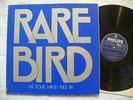 RARE BIRD 