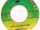 Vanguard JUNIOR WELLS I've got a stomache ache / Shake it baby Top notch R'n'B d