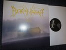 BORKNAGAR LP SLAYER  WASP IRON MAIDEN CARCASS ENTOMBNED