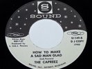 CAPREEZ  How To Make A Sad Man Glad  RARE DJ NORTHERN SOUL ON SOUND *HEAR*  