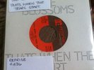 Northern Soul The Blossoms Thats When The Tears Start Reprise Original 1966