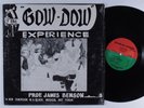 GOW-DOW EXPERIENCE Self Titled LP VG+ SHRINK private spiritual jazz funk HEAR