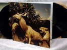 Interpol - Our Love To Admire 2x LP 2007 Gatefold Rare Original