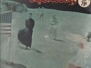 ROCK PROG PSYCH LP - LINN COUNTY 