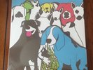 The Format Dog Problems White Vinyl Record Sealed