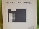David Cunningham Grey Scale flying lizards 1977 piano 001 LP Minty