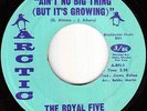 Crossover Soul 45 - Royal Five - Ain't No Big Thing - Arctic