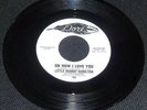 NORTHERN SOUL Little Johnny Hamilton - Oh How I love You - Dore
