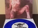 The DWARVES - Trailer Trash split 7