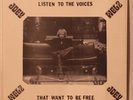 JOEY WELZ w/ LINK WRAY + RAY VERON: Listen to the Voices PRIVATE rockabilly LP