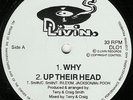 D-Livin ?– Why - DL01 - 92 Classic Oldskool 12