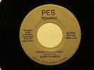 northern soul KENNY HAMBER Never Found a Girl PES  M-  hear soundclip