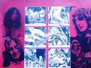 Led Zeppelin - Idolescence (Double Vinyl Live LP) Fan club release