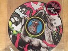 Yeah Yeah Yeahs- fever to tell picture disc 12 in lp album KAREN O