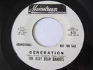 THE JELLY BEAN BANDITS FUZZ GARAGE 2 SIDER ON MAINSTREAM RECORDS #674 GENERATION