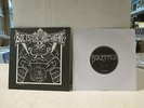BOLT STEIN / INSECT WARFARE split 7