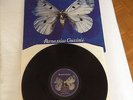 PARNASSIUS GUCCINII  FRANCESCO GUCCINI LP ORIGINALE 1a STAMPA