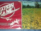 Raisin Kane - It's about time / Tennessee southern rock Homegrown LP Vinyl