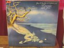 Locanda delle fate- Forse le lucciole non si amano piu  (Vinyl,Lp)